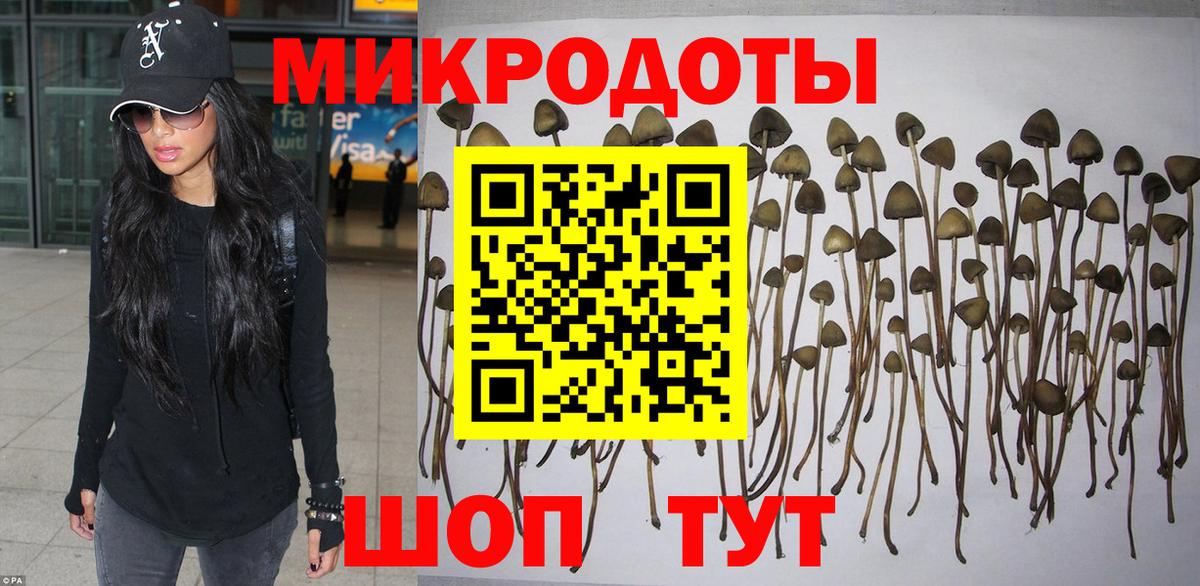 Ливны  Галлюциногенные грибы Magic Shrooms  Вход с VPN 